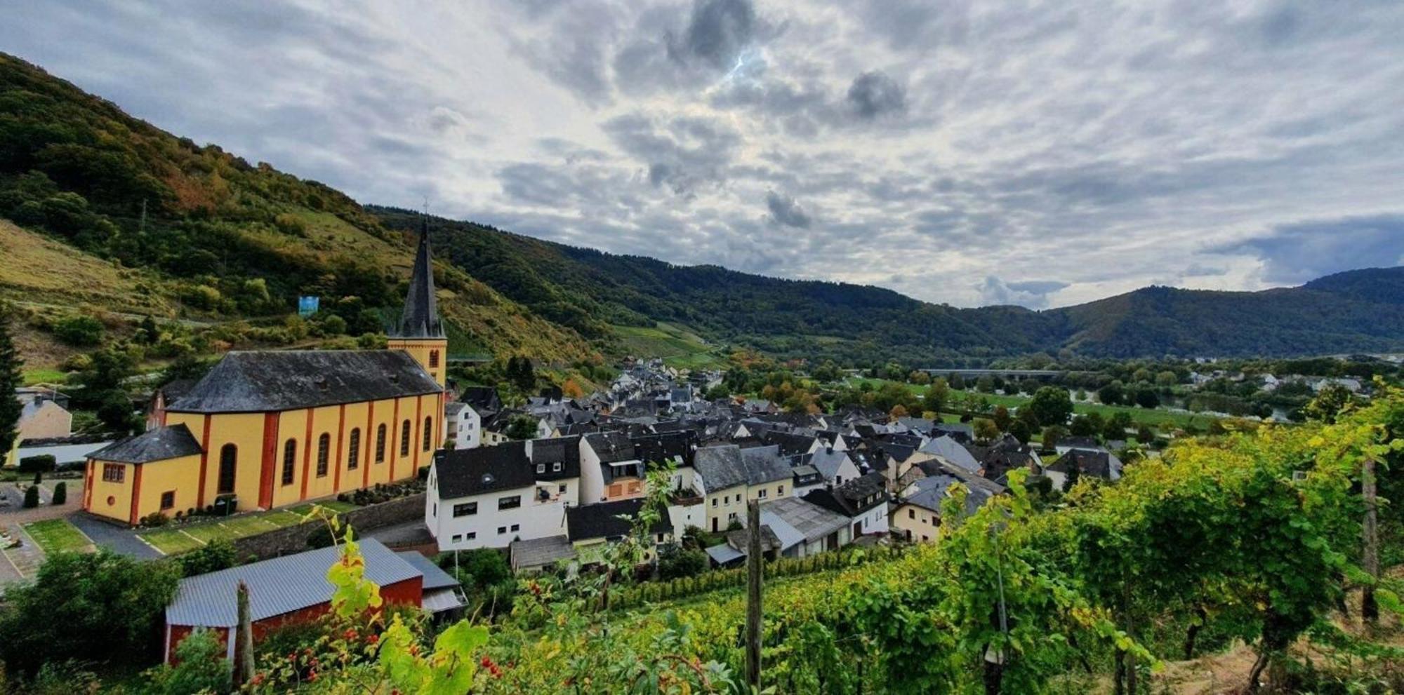 Ferienwohnung An Der Mosel, Romeo Senheim Exterior photo